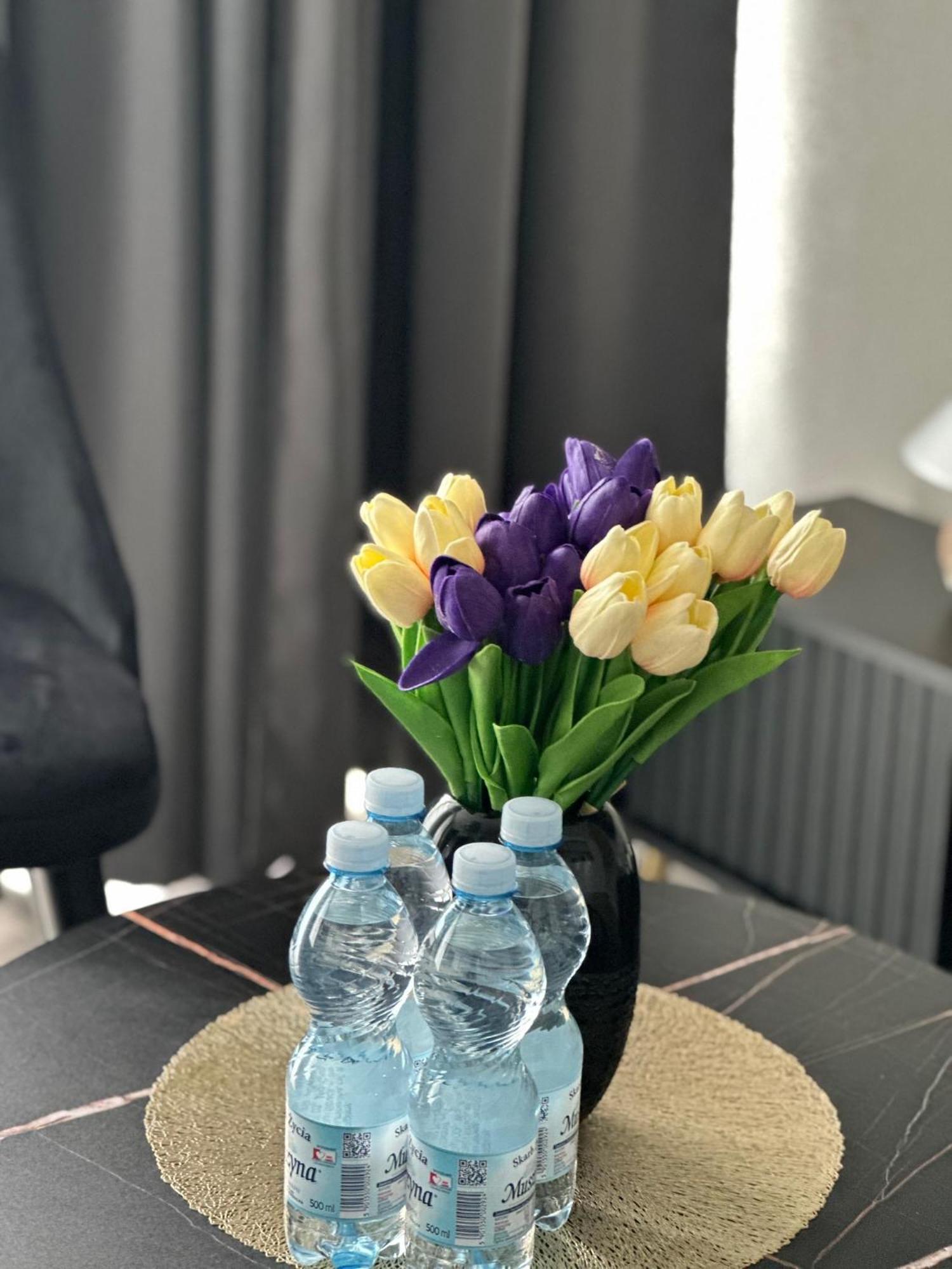 Sunny Haven Wave Sea View Apartment Мендзиздрое Екстериор снимка